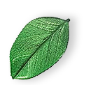 floating_leaf_01 https://incocleaners.com/wp-content/uploads/2025/07/floating_leaf_01.png